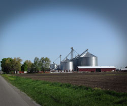 Click here to go to Farm gallery